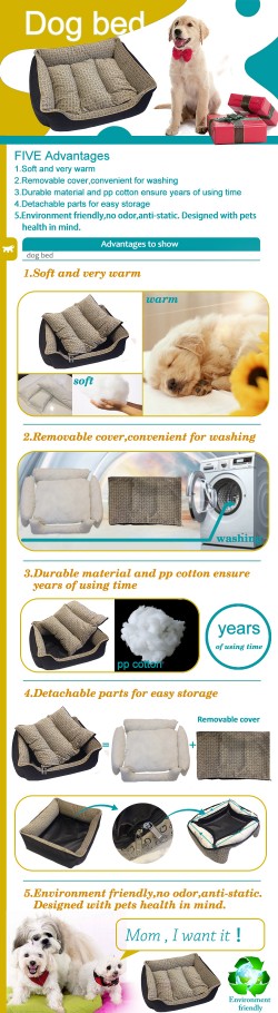 Washable dog beds