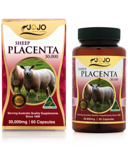 Sheep Placenta