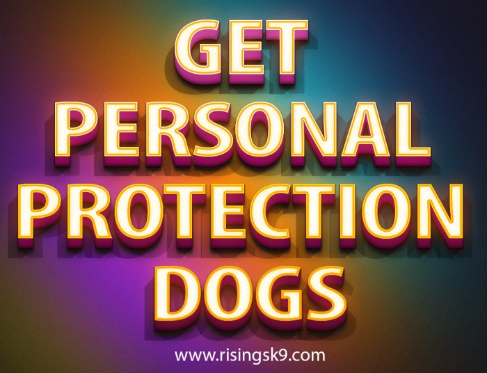 Get Personal Protection Dogs