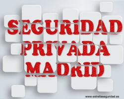 seguridad privada madrid