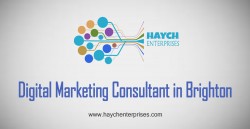 Digital Marketing Consultant InBrighton