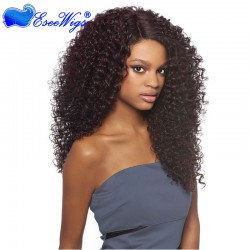 Kinky Curly 250% Density Full Lace Wigs Brazilian Virgin Hair Lace Front Human Hair Wigs Natural ...