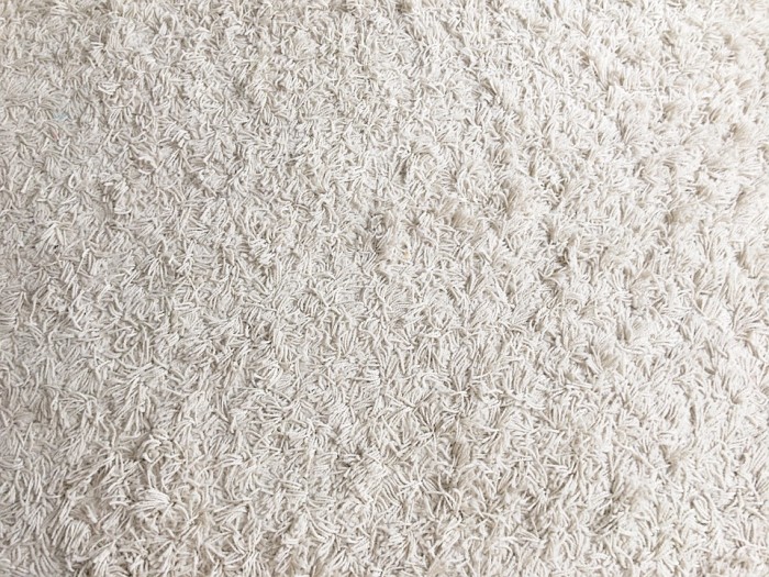 You Should Hire Professionals to Perform Las Vegas Carpet Cleaning