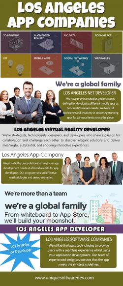 Los Angeles Virtual Reality Developer