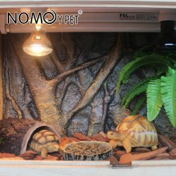 Reptile Breeding Box on nomoypet.net