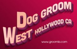 Dog Groom West Hollywood CA
