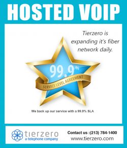 Hosted Voip