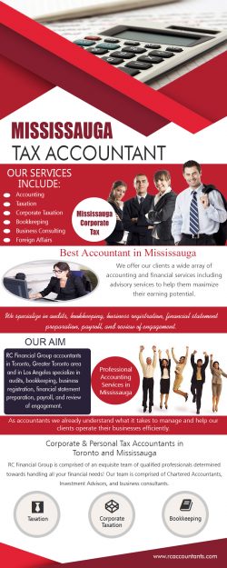 Mississauga Tax Accountant