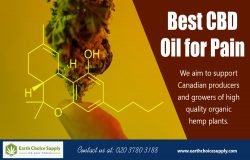 Best CBD Pain Oil | Call Us – 416-922-7238 | earthchoicesupply.com