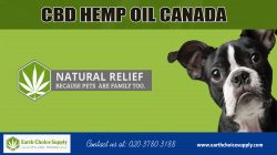CBD Hemp oil Canada | Call Us – 416-922-7238 | earthchoicesupply.com