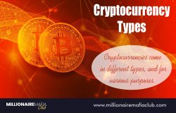 Cryptocurrency Types | millionairemafiaclub.com