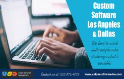 Custom Software Los Angeles & Dallas