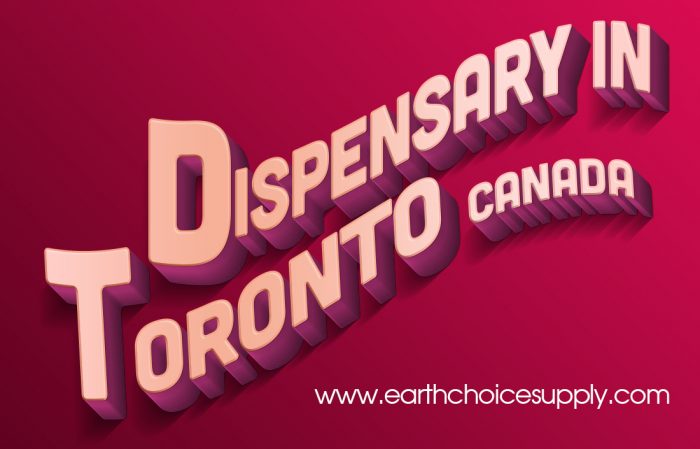 Dispensary Toronto Canada | Call Us – 416-922-7238 | earthchoicesupply.com
