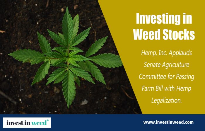 Investing in Weed Stocks | investinweed.com