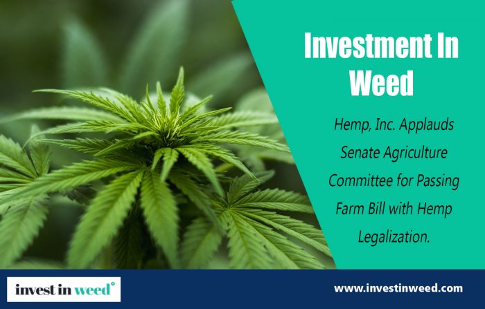 Investment In Weed | investinweed.com
