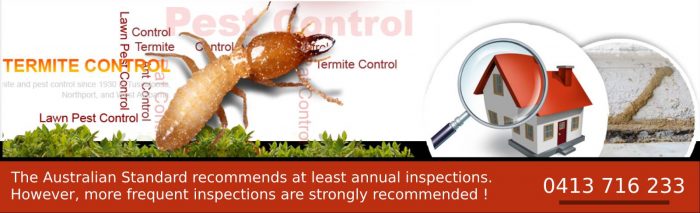 Pest Control Melbourne – Termites Control, Inspection & Treatment Watsonia