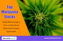 Top Marijuana Stocks | investinweed.com