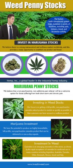 Weed Penny Stocks | investinweed.com