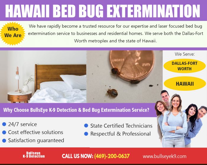 Bed Bug Exterminator | 4692000637 | bullseyek9.com