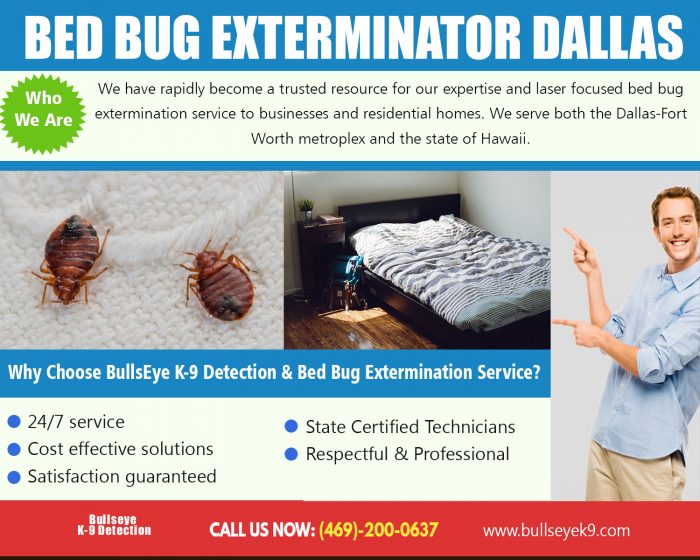 Bed Bug Exterminator Dallas | 4692000637 | bullseyek9.com