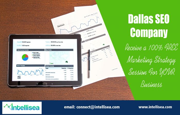 Dallas SEO Company | intellisea.com