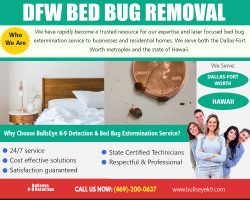 DFW Bed Bug Removal | 4692000637 | bullseyek9.com