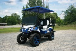 Fusion Blue White YAMAHA Golf Cart
