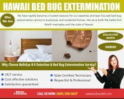 Hawaii Bed Bug Extermination | 4692000637 | bullseyek9.com