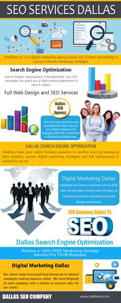 SEO Company Dallas | intellisea.com