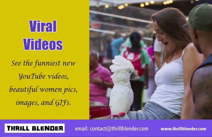 Viral Videos|https://thrillblender.com/