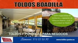 toldos Boadilla|http://toldos-pastor.es/