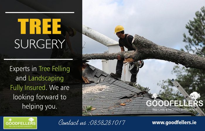 Tree Surgery