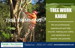 Tree Work Kauai