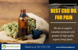 Best CBD Oil for Pain