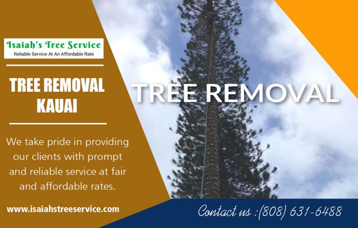 Tree Removal in Kauai