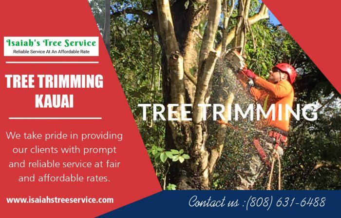 Tree Trimming Kauai