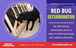 Bed Bug Exterminator | 4692000637 | bullseyek9.com
