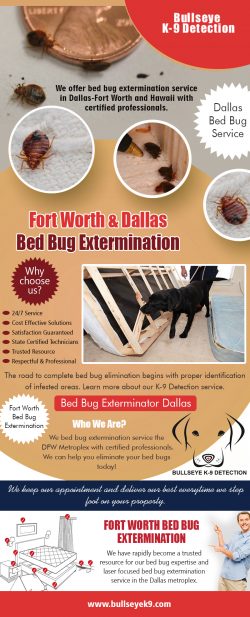 Fort Worth & Dallas Bed Bug Extermination | 4692000637 | bullseyek9.com