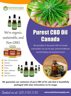 Purest CBD Oil Canada