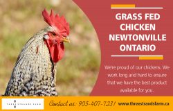 Grass Fed Chicken Newtonville Ontario