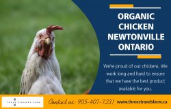 Organic Chicken Newtonville Ontario