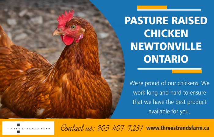 Pasture Raised Chicken Newtonville in Ontario