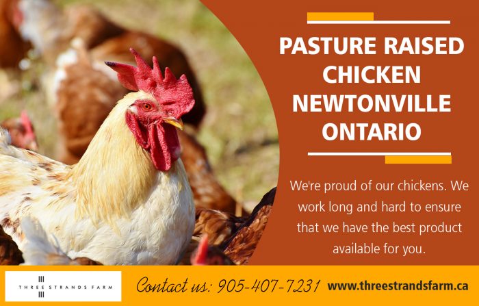 Pasture Raised Chicken Newtonville Ontario