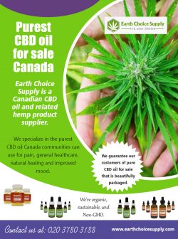 Purest CBD Oil for Sale Canada