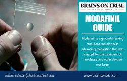 Modafinil Guide