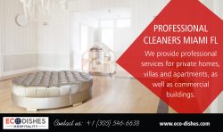 Professional Cleaners Miami FL | 3055466638 | eco-dishes.com