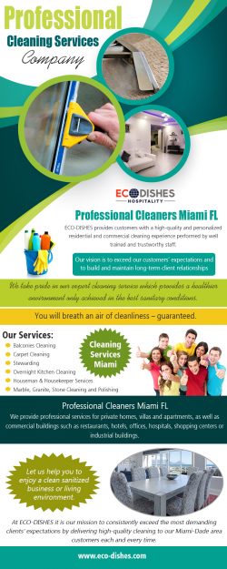 Professional Cleaning Service Company | 3055466638 | eco-dishes.com