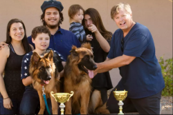 Buy German Shepherd California | Topshepherd Kennel