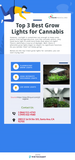 Top 3 Best Grow Lights for Cannabis