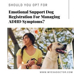 Should You Opt For Emotional Support Dog Registration For Managing ADHD Symptoms?